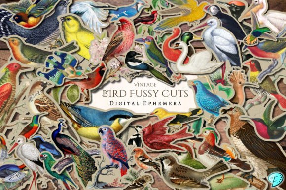 Download Vintage Bird Fussy Cut Digital Ephemera - Fussy cut Collection