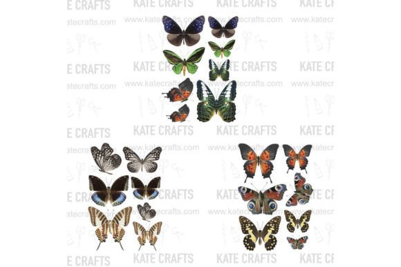 Download Fussy Cut Big Butterfly - Fussy cut Collection