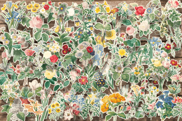 Download Vintage Fussy Cut Flowers - Premium Resources
